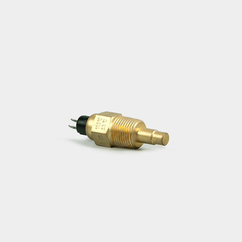 Mechanical 2 Pin ESSW-09 Water Temperature Sensor for Automotive 